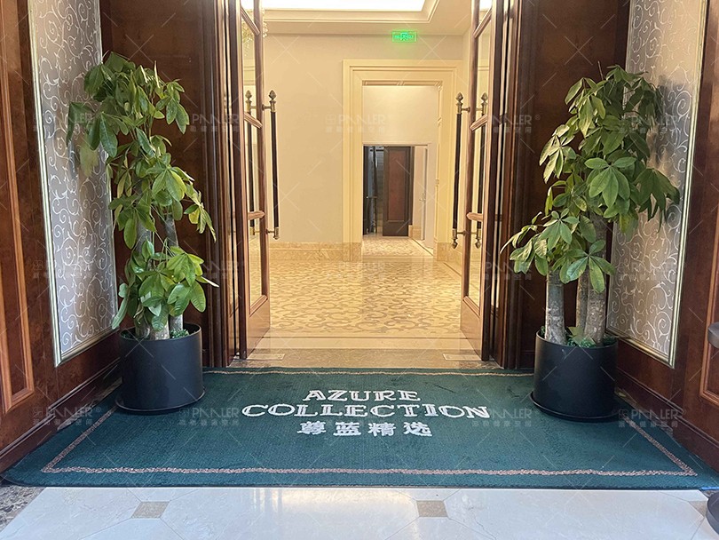美利肯黛雅吸水控尘尼龙地垫-酒店会所-杭州西湖西溪尊蓝精选酒店-大门外-刮沙吸水-尼龙-绿色.jpg